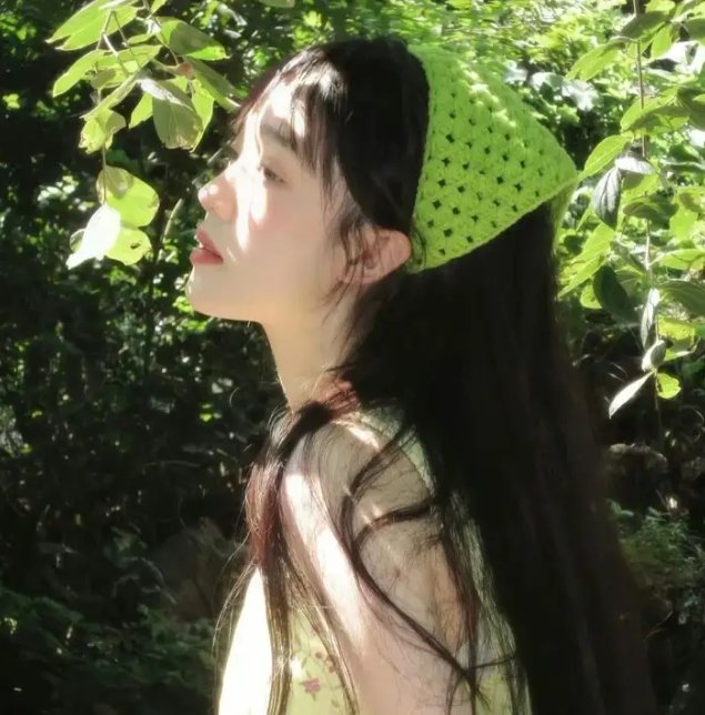 铁线蕨的忧郁 封面