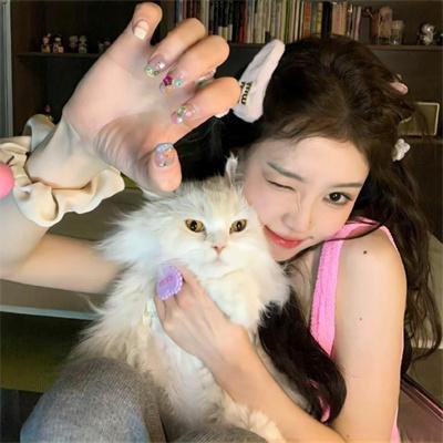 反诈·猎蜂者 封面